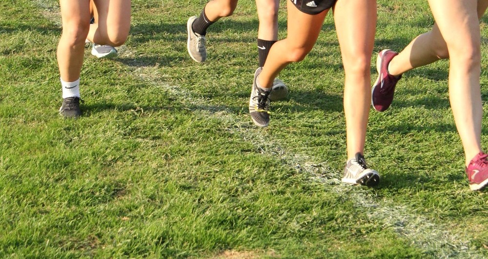Runners feet and legs running along a grass course